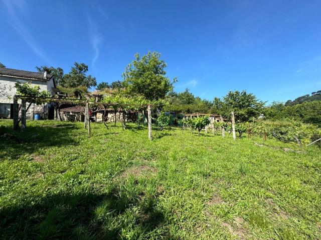 Casa En venta en Camiño Das Carquixas - Ponxos, Ourense photo 0