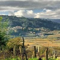 casa con finca en el Ribeiro photo 0