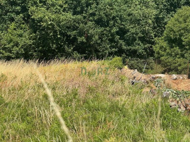 Terreno Urbanizable En venta en Aldea De La Granja -Vilariño, Pereiro De Aguiar (o) photo 0