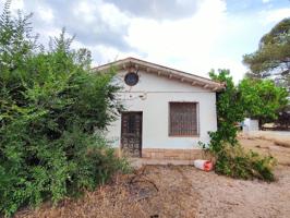Finca Rústica en venta en Albacete de 15000 m2 photo 0