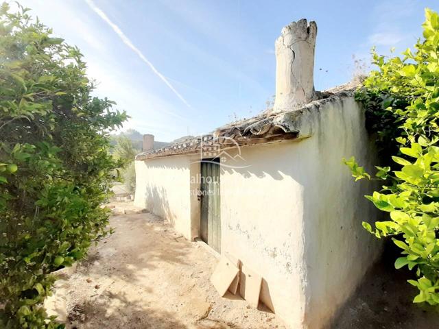 SE VENDE ESTUPENDO TERRENO EN ULEA photo 0