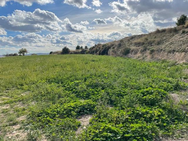 VENTA DE TERRENO EN ASPE (ALICANTE) photo 0