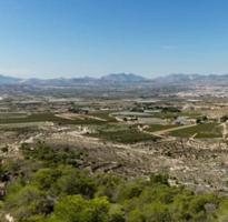 VENTA DE CHALET EN NOVELDA (ALICANTE) photo 0