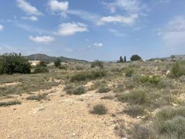 VENTA DE TERRENO EN NOVELDA (ALICANTE) photo 0