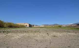 Sale a la venta gran finca. photo 0