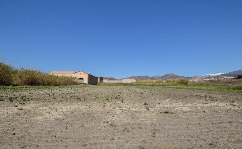 Sale a la venta gran finca. photo 0