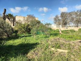 Terreno urbano con potencial en San Antonio photo 0