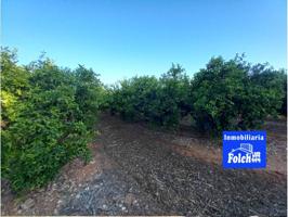 Terreno en venta en Càlig photo 0
