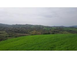 Terreno en venta en Salinas de Oro - Jaitz photo 0
