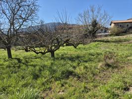 TERRENO URBANIZABLE EN ORRIO photo 0
