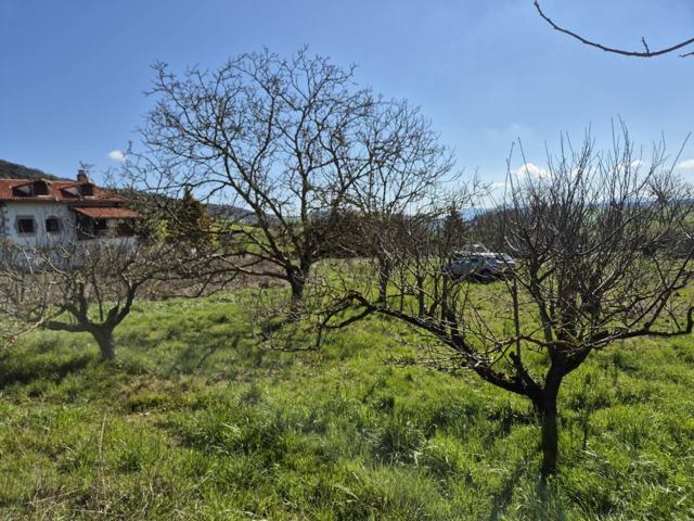 TERRENO URBANIZABLE EN ORRIO photo 0