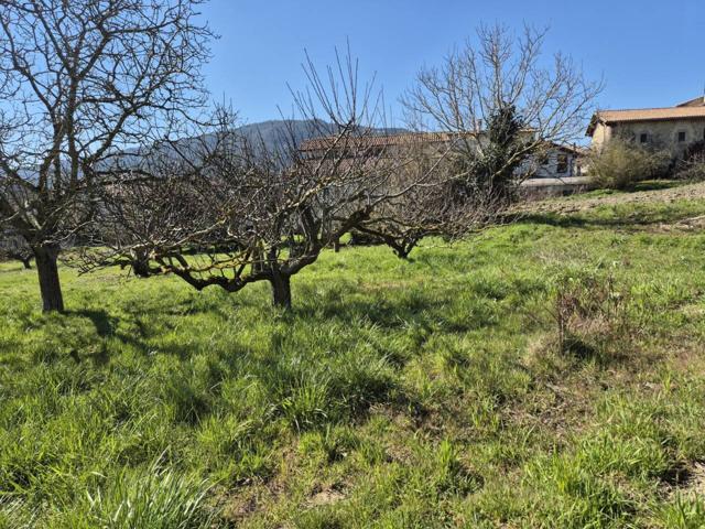 TERRENO URBANIZABLE EN ORRIO photo 0