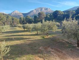 Finca rustica en venta en Montes Orientales photo 0