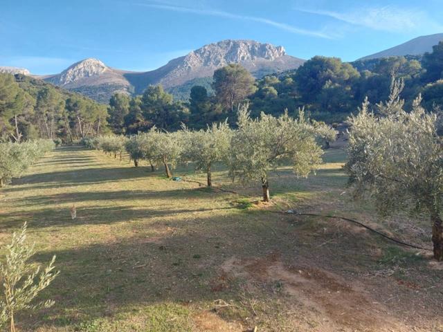 Finca rustica en venta en Montes Orientales photo 0