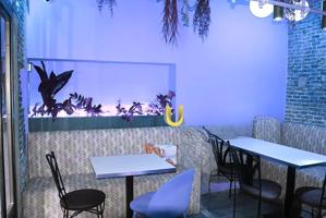 REF-4158 - ALQUILER Y TRASPASO DE RESTAURANTE EN EL CENTRO DE MADRID photo 0