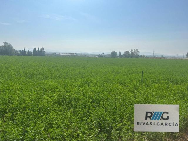 PARCELARUSTICA EN VENTA EN CARRETERA DE CORTES photo 0