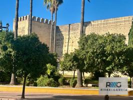 PISO EN VENTA EN EL CENTRO CON VISTAS AL ALCAZAR photo 0