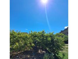 Terreno en venta en Blanca photo 0