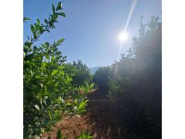 Terreno en venta en Bayna photo 0