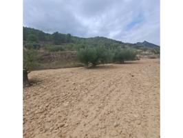 Terreno en venta en Ricote photo 0