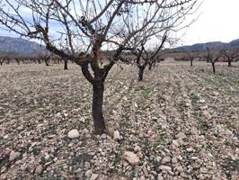 Terreno en venta en La Bermeja photo 0