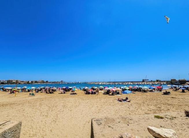 SE VENDE APARTAMENTO REFORMADO A TAN SOLO 200 METROS DE LA PLAYA DE LOS NAUFRAGOS TORREVIEJA photo 0