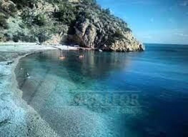 Primera planta en zona de Carolinas photo 0