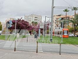 Zona Carolina photo 0
