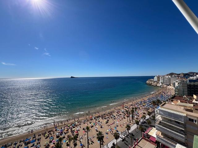 Piso en Benidorm ( 1ª linea Levante) photo 0