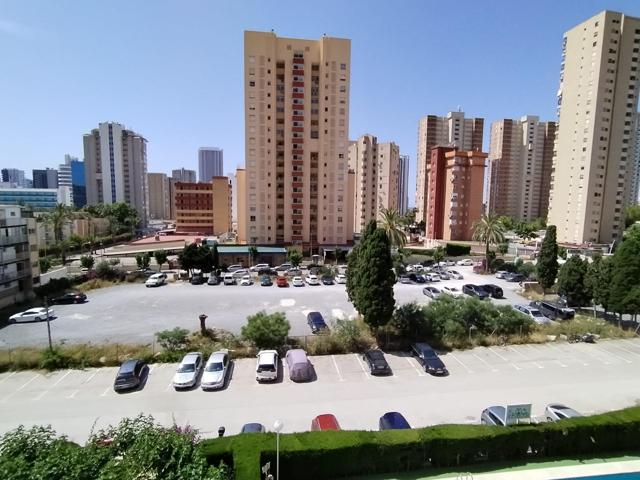 Apartamento de 1 dormitorio, 1 baño, reformado. parking y piscina comunitaria. photo 0