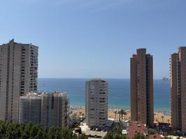 PISO ZONA AVENIDA MEDITERRÁNEO photo 0