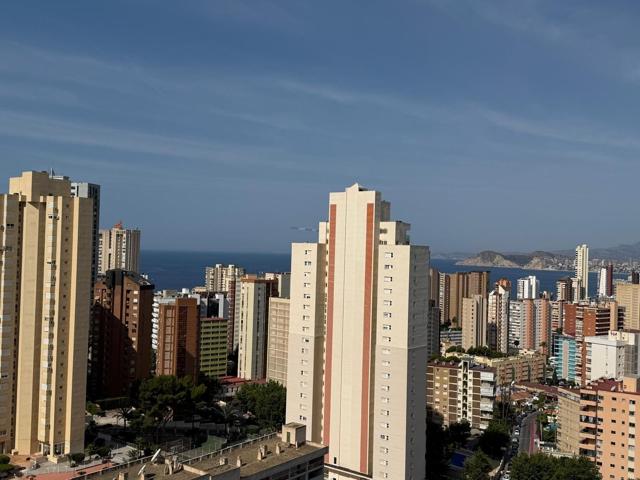 APARTAMENTO EN RINCÓN DE LOIX photo 0