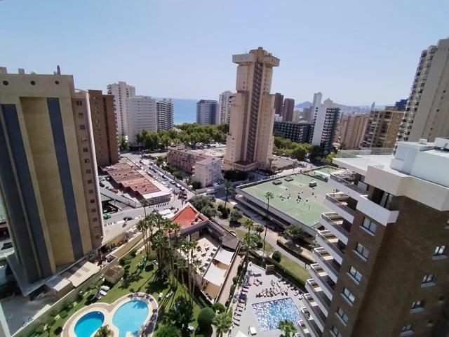 Apartamento de 1 dormitorio, en zona de Levante. Reformado photo 0