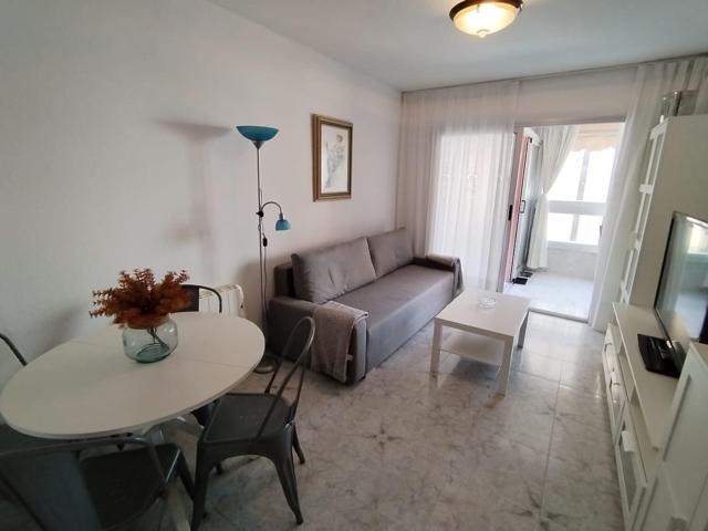 Apartamento de 2 dormitorio, 1 baño. reformado, parking y piscina comunitario. reformado. cerca de la playa. photo 0