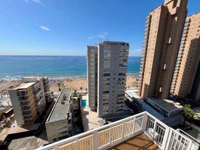Ático tríplex completamente reformado con dos plazas de parking, en segunda línea de playa Levante photo 0
