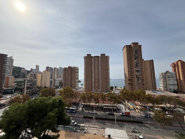 Apartamento de esquina. 3 dormitorios, en segunda línea de playa Levante - www.inmobiliarialesdunes.com photo 0