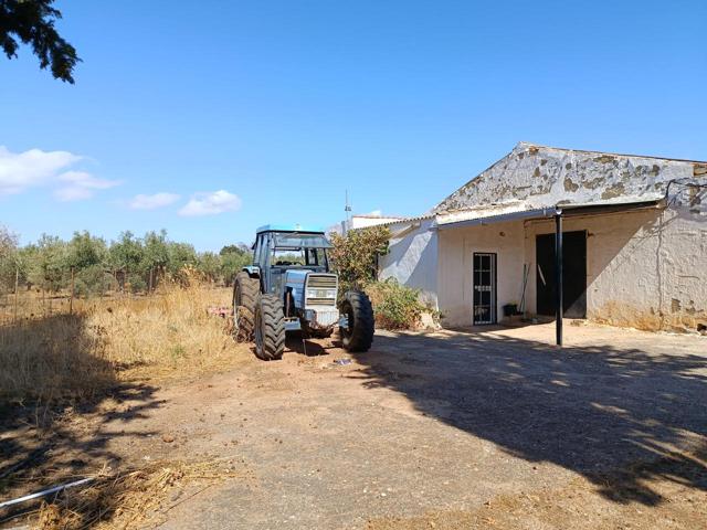 Finca Rústica a pocos minutos de Ronda photo 0