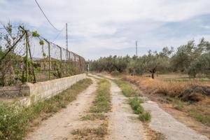 VENTA TERRENO RURAL -- CAMPO GOLF LAS GABIAS photo 0