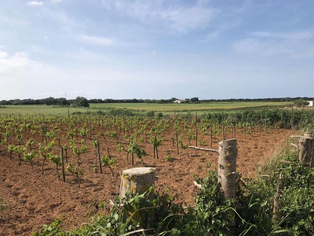 Finca rustica Pago Humo photo 0