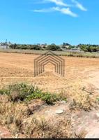 SE VENDE PARCELA EN MARQUESADO photo 0