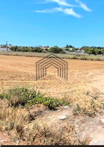SE VENDE PARCELA EN MARQUESADO photo 0