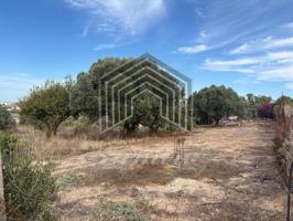 PARCELA SEGREGADA MONTE AGUILA photo 0