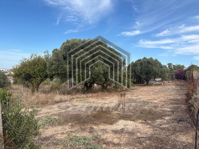 PARCELA SEGREGADA MONTE AGUILA photo 0