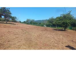 Venta de Finca en Cazanes - Villaviciosa photo 0