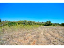 Finca rustica con proyecto , luz y agua cerca de Capdepera photo 0