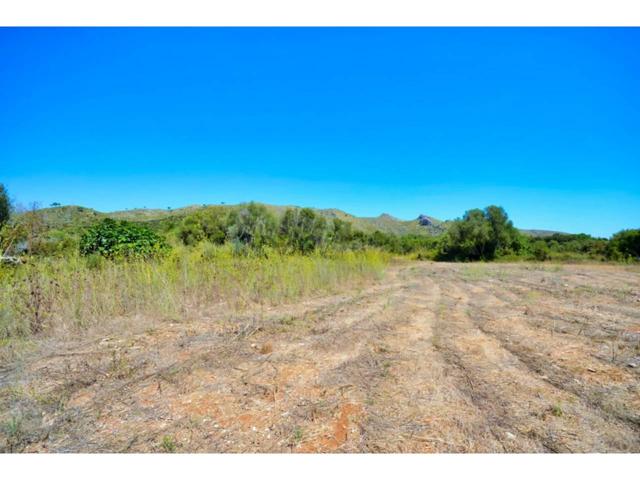 Finca rustica con proyecto , luz y agua cerca de Capdepera photo 0