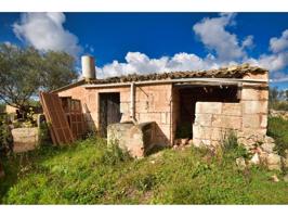 Finca edificable en SON FULLOS  Santa Margalida photo 0