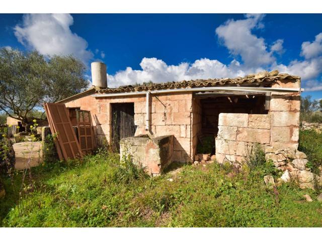 Finca edificable en SON FULLOS  Santa Margalida photo 0