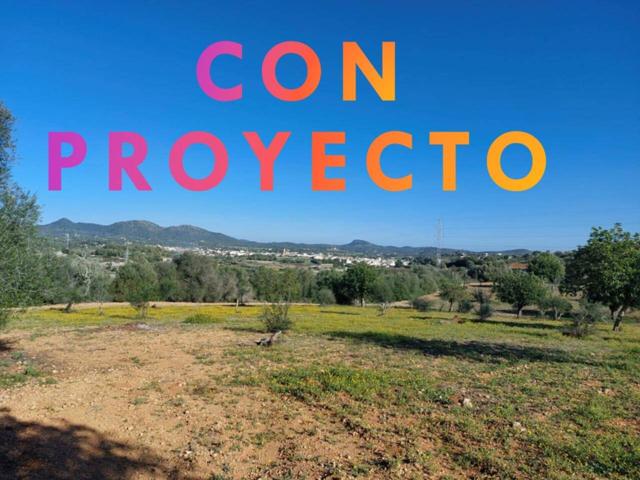 Finca rustica con proyecto en san llorenc photo 0
