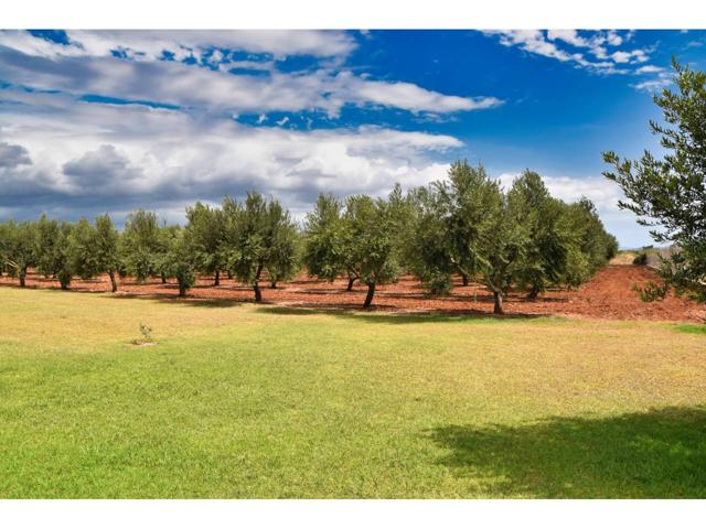 En Muro Finca olivera construida alrededor de un antiguo molino photo 0